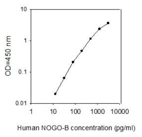 Human Nogo-B/RTN 4B ELISA