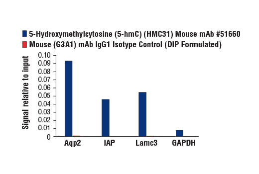 5-Hydroxymethylcytosine (5-hmC) (HMC31) Mouse mAb