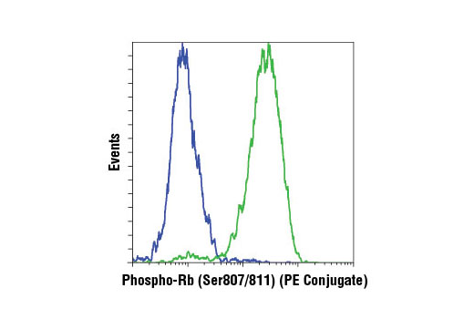 Phospho-Rb (Ser807/811) (D20B12) XP Rabbit mAb (PE Conjugate)