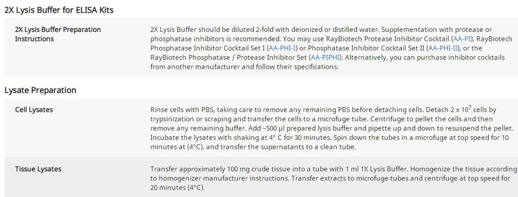 2X Lysis Buffer (Item J)