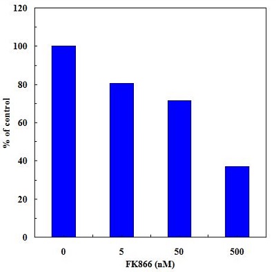 CycLex NAMPT Colorimetric Assay Kit Ver.2