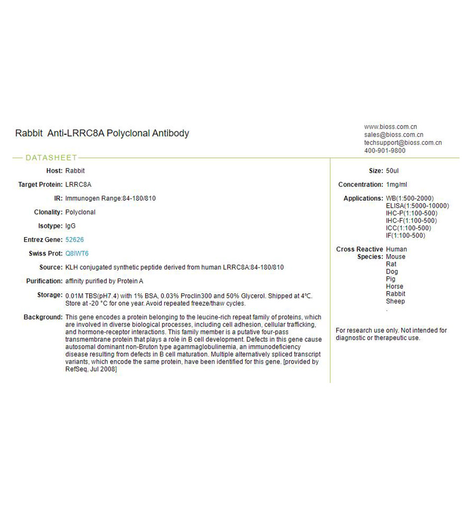 富含亮氨酸重复蛋白8A抗体