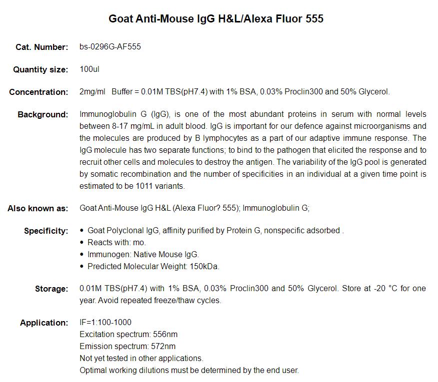 Alexa Fluor 555标记的羊抗小鼠IgG H&amp;L
