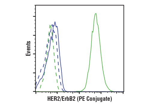 HER2/ErbB2 (29D8) Rabbit mAb (PE Conjugate)