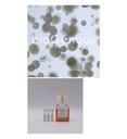 Ovarian Cancer Organoid Kit卵巢癌