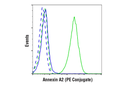 Annexin A2 (D11G2) Rabbit mAb (PE Conjugate)